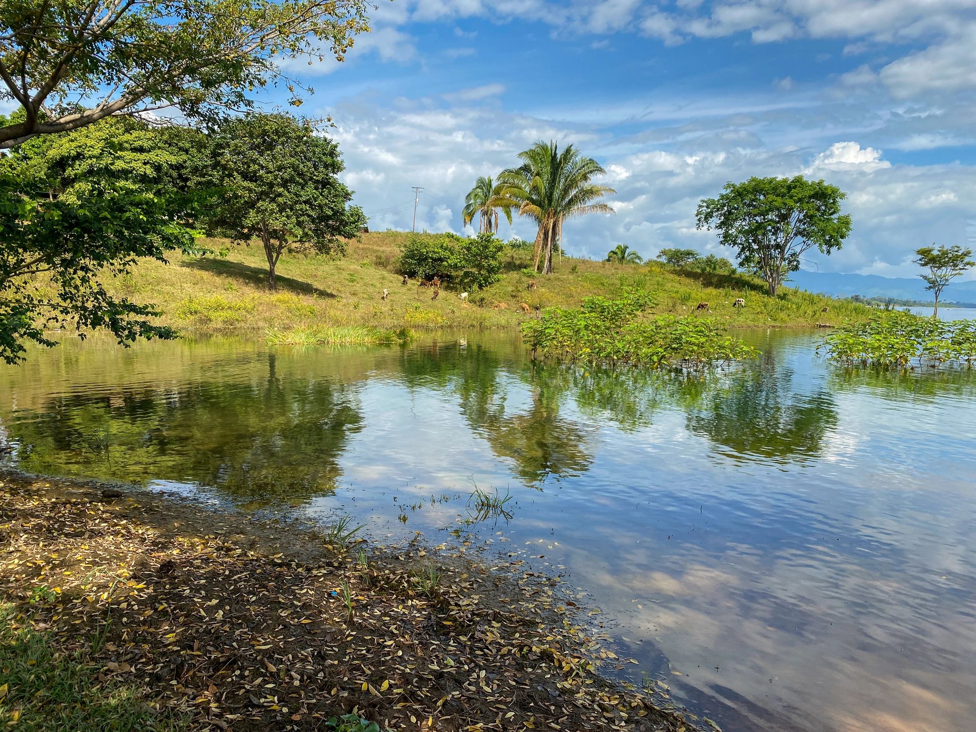 nature based water solutions Venezuela