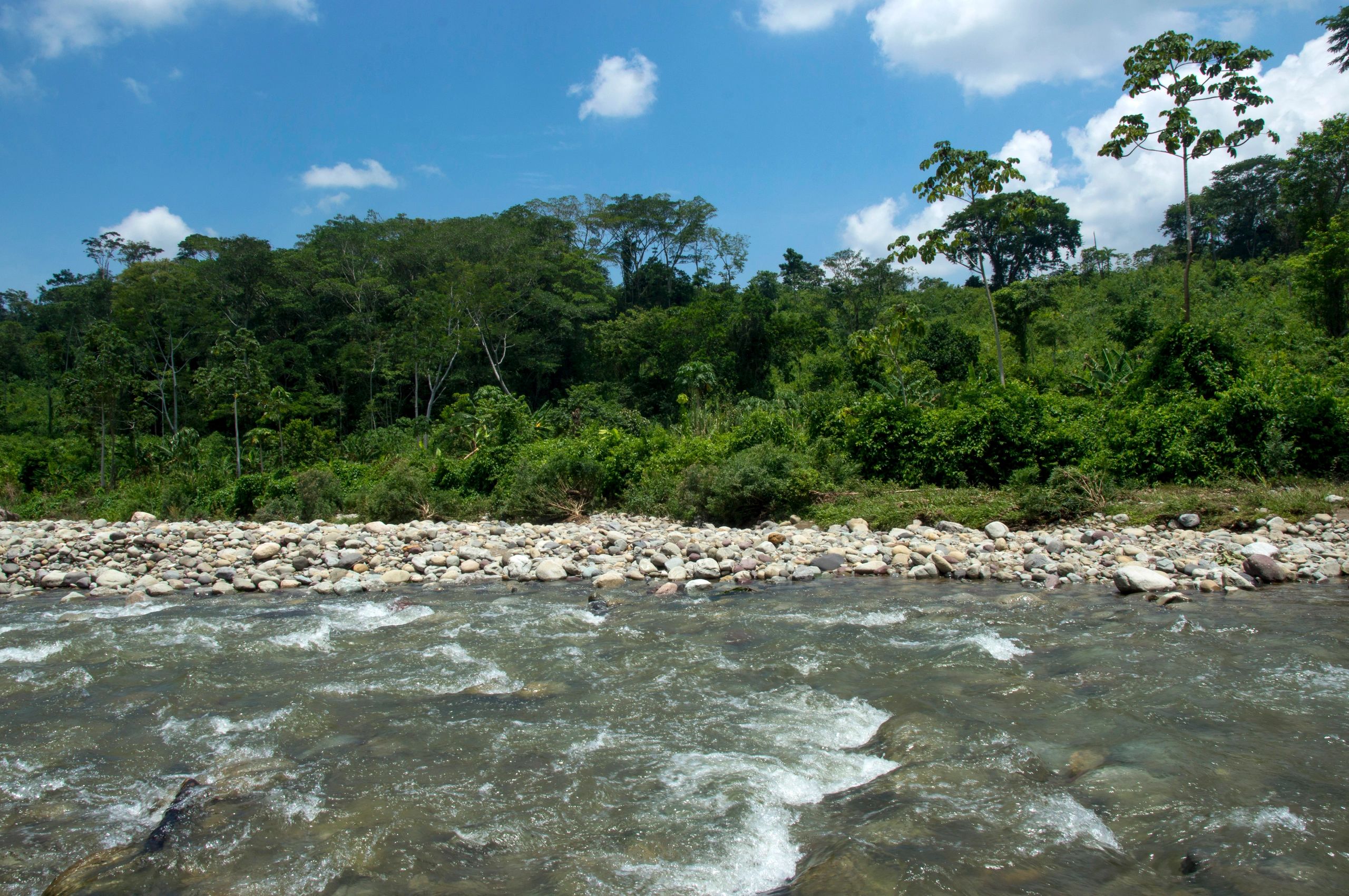 nature based water solutions Venezuela